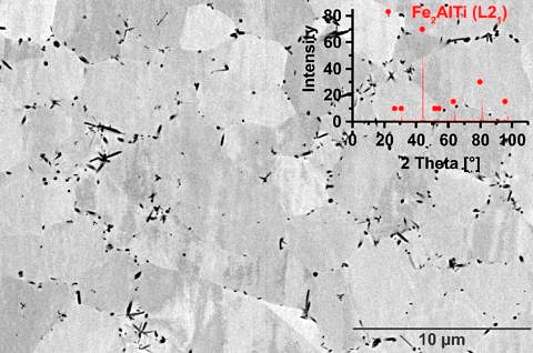 Gefüge eines Eisenaluminids mit B und Ti, Boride erscheinen dunkel