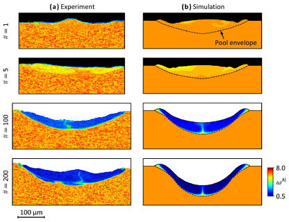 Vergleich des Aluminiumverlusts zwischen Simulation und Experiment für mehrmaliges Schmelzen einer einzelnen Scanlinie