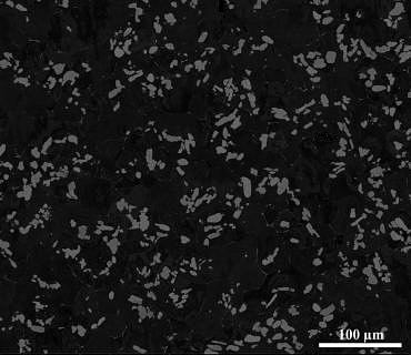 Mikrostruktur von in-situ verstärktem Reinaluminium